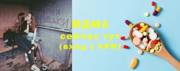 прущие грибы Волоколамск