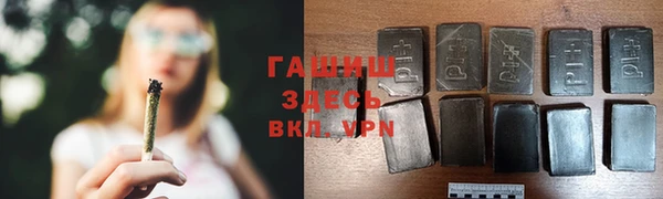 прущие грибы Волоколамск