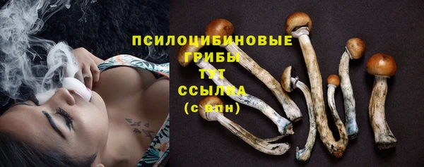 прущие грибы Волоколамск
